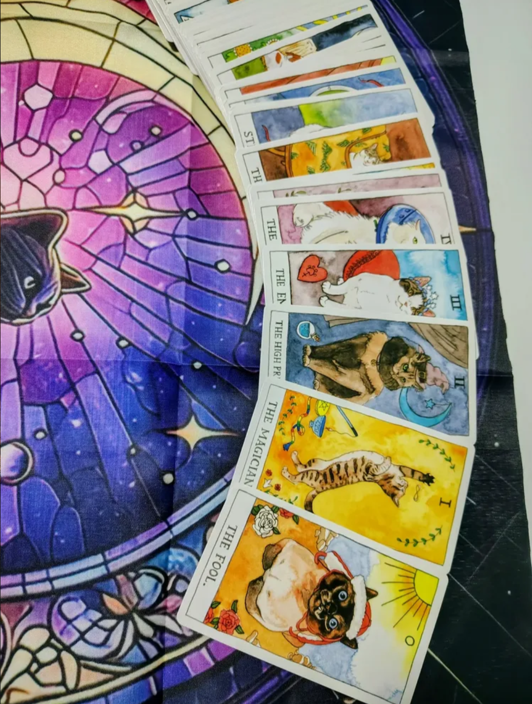 Tarot Gato más Paño de Lectura
